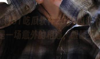 51吃瓜软件2025的每个视频，都像是一场意外的相遇，眼睛不够用！