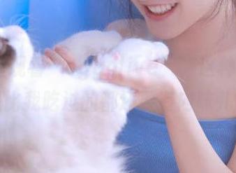 观看“cggolive”，这种瓜是不是比我吃过的都还要有内味儿？