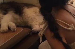 登录黑料不打烊so，别犹豫，链接一键带你上车！