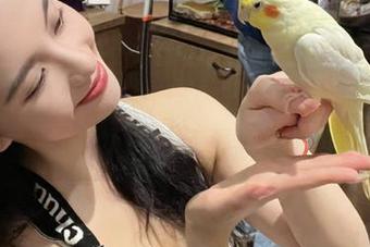 只需一次点击，黑料不打烊so的入口免费解锁！