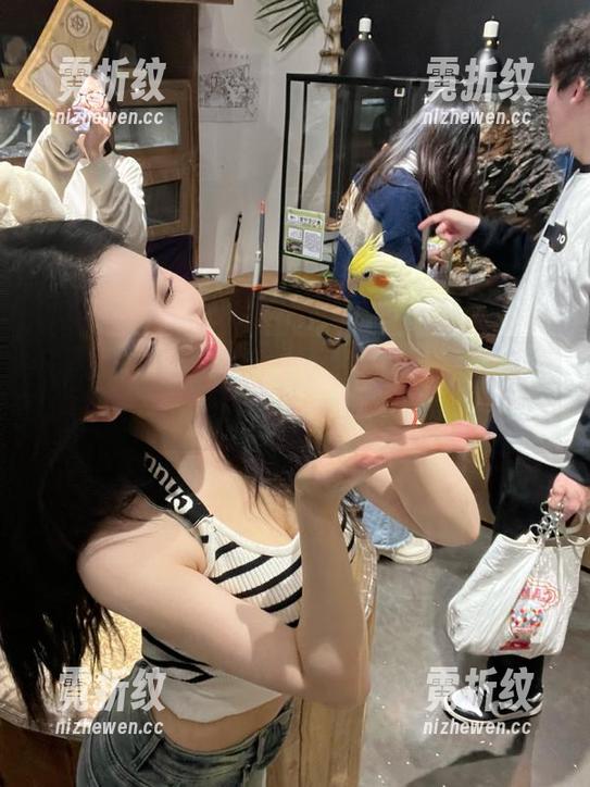 只需一次点击，黑料不打烊so的入口免费解锁！